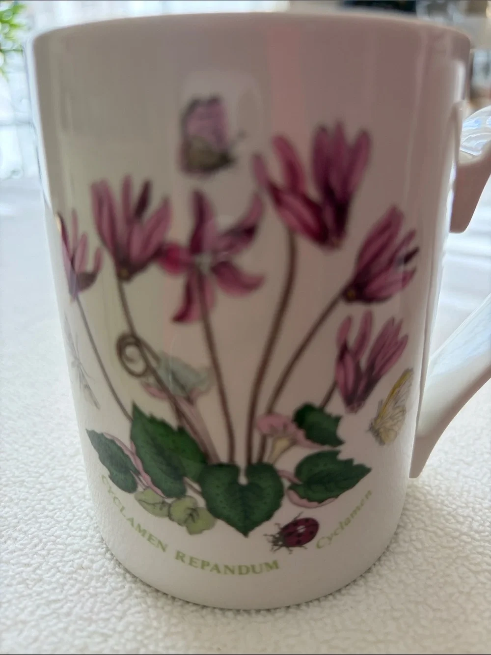 Portmeirion  Botanic Garden 2 Coffee Cup 12oz